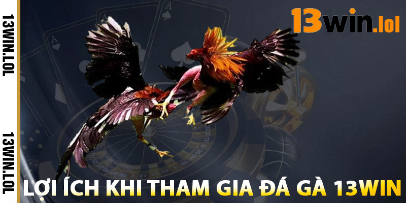 Lợi Ích Khi Tham Gia Đá Gà 13WIN