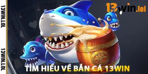 Tìm Hiểu Về Bắn Cá 13WIN